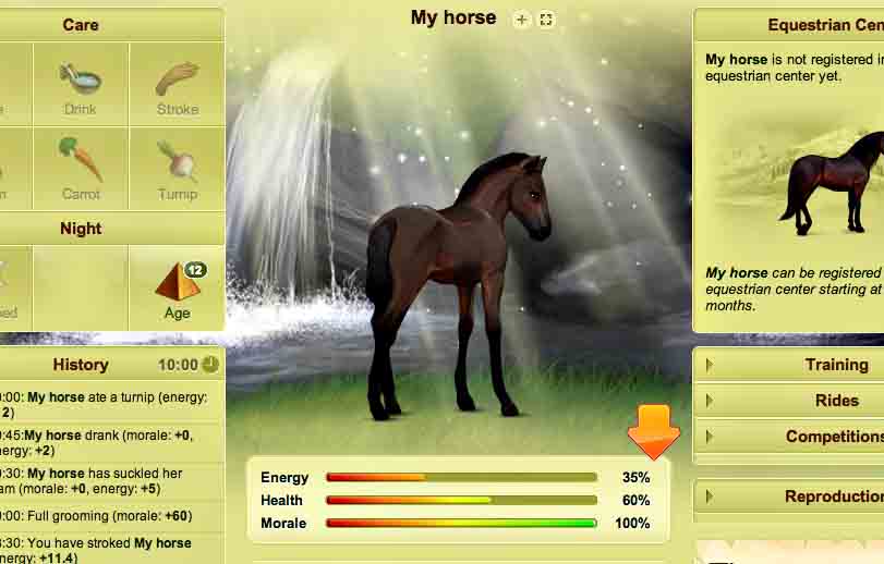 free online horse games to play